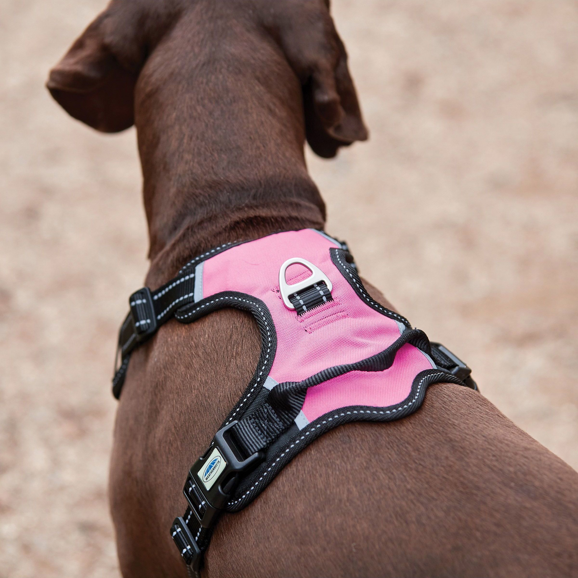 Weatherbeeta Anti Pull / Traveling Harness 1003617 - Pink